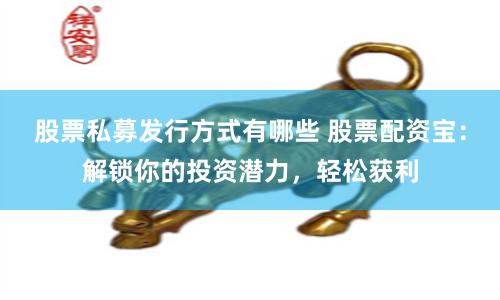 股票私募发行方式有哪些 股票配资宝:解锁你的投资潜力,轻松获利
