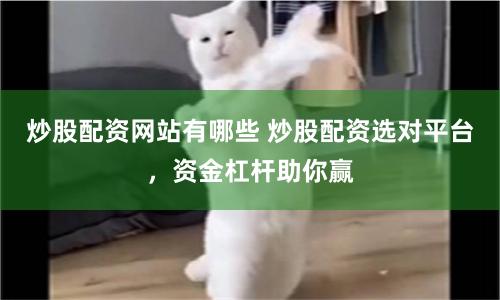 炒股配资网站有哪些 炒股配资选对平台，资金杠杆助你赢