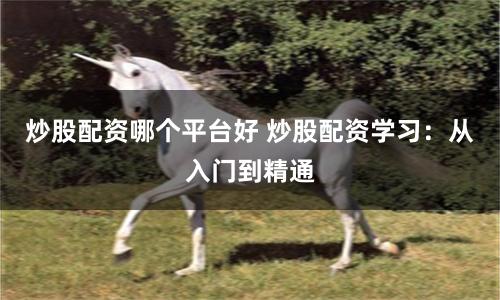 炒股配资哪个平台好 炒股配资学习：从入门到精通