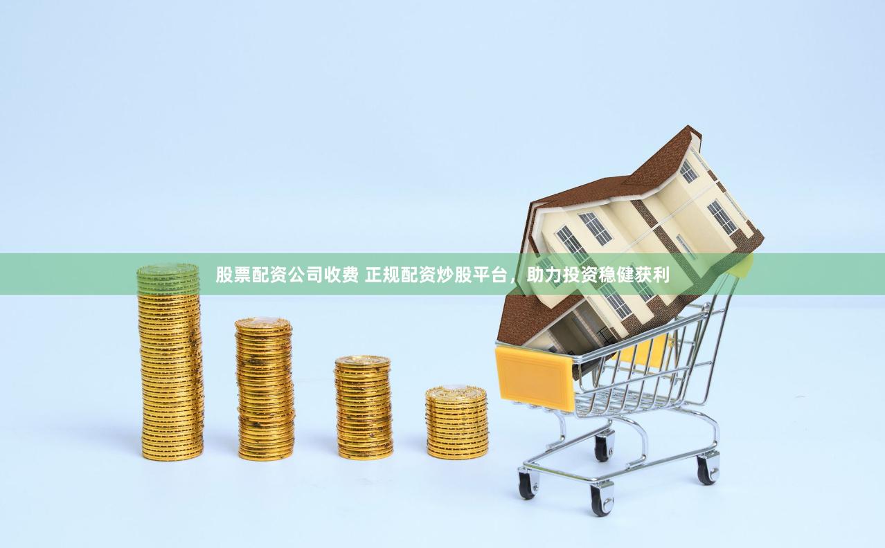 股票配资公司收费 正规配资炒股平台，助力投资稳健获利