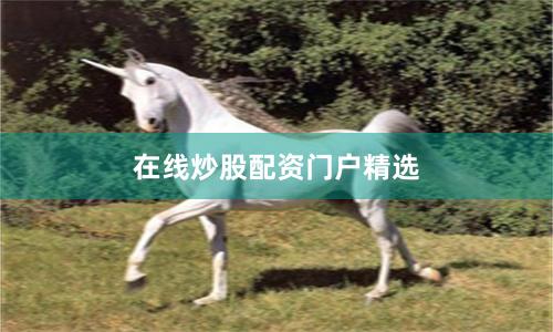 在线炒股配资门户精选